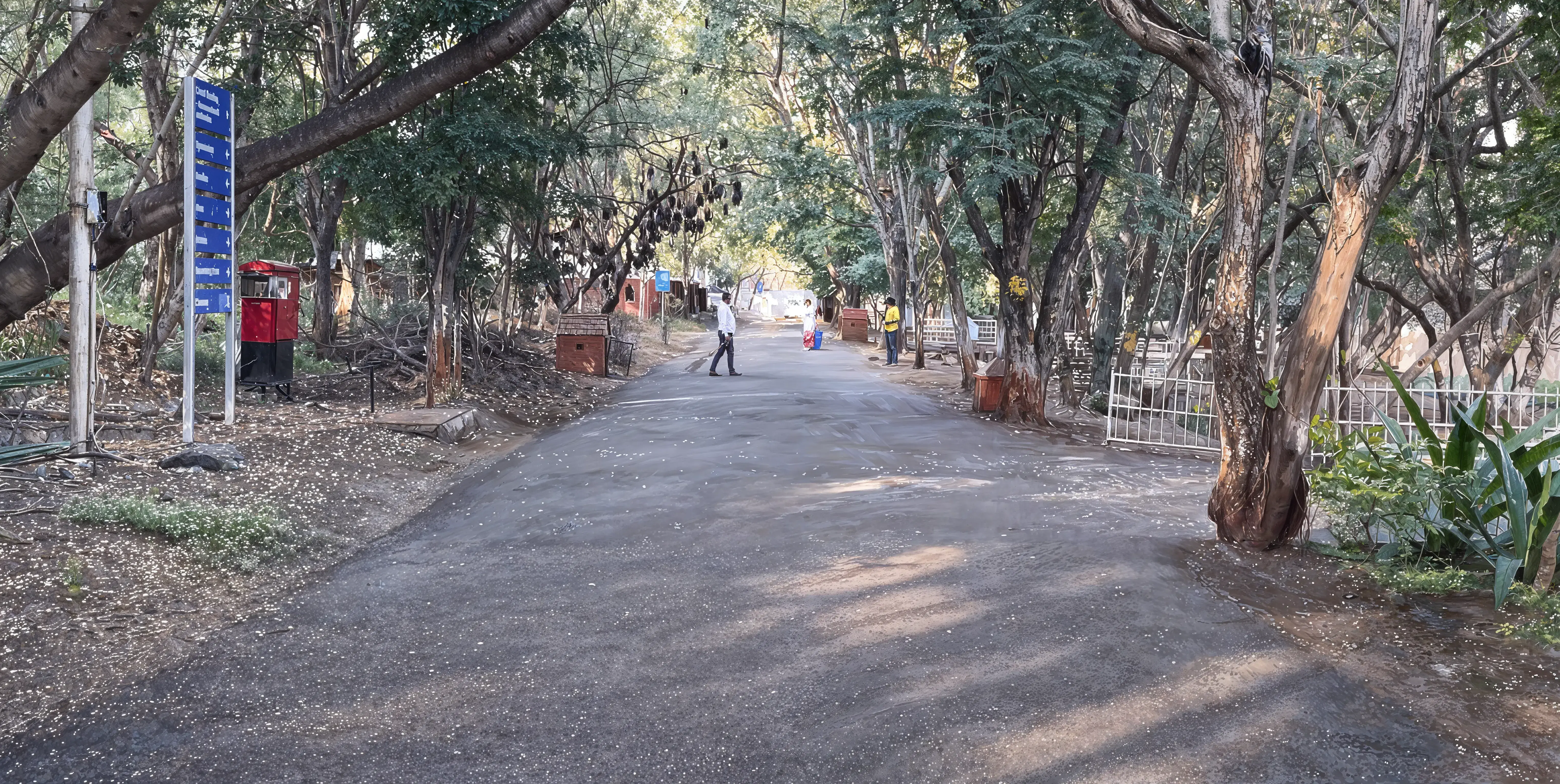 ILS Pune campus photo 6